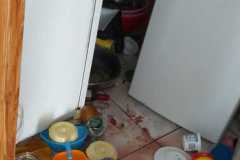 IMG-20210817-WA0017