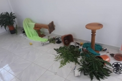 IMG-20210817-WA0021