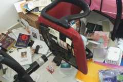 IMG-20210817-WA0022