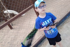 IMG-20190606-WA0001